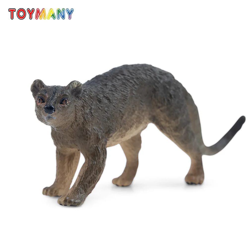 Kids Toys Latest - Toymany Simulation Fossa Madagascar Animal Model