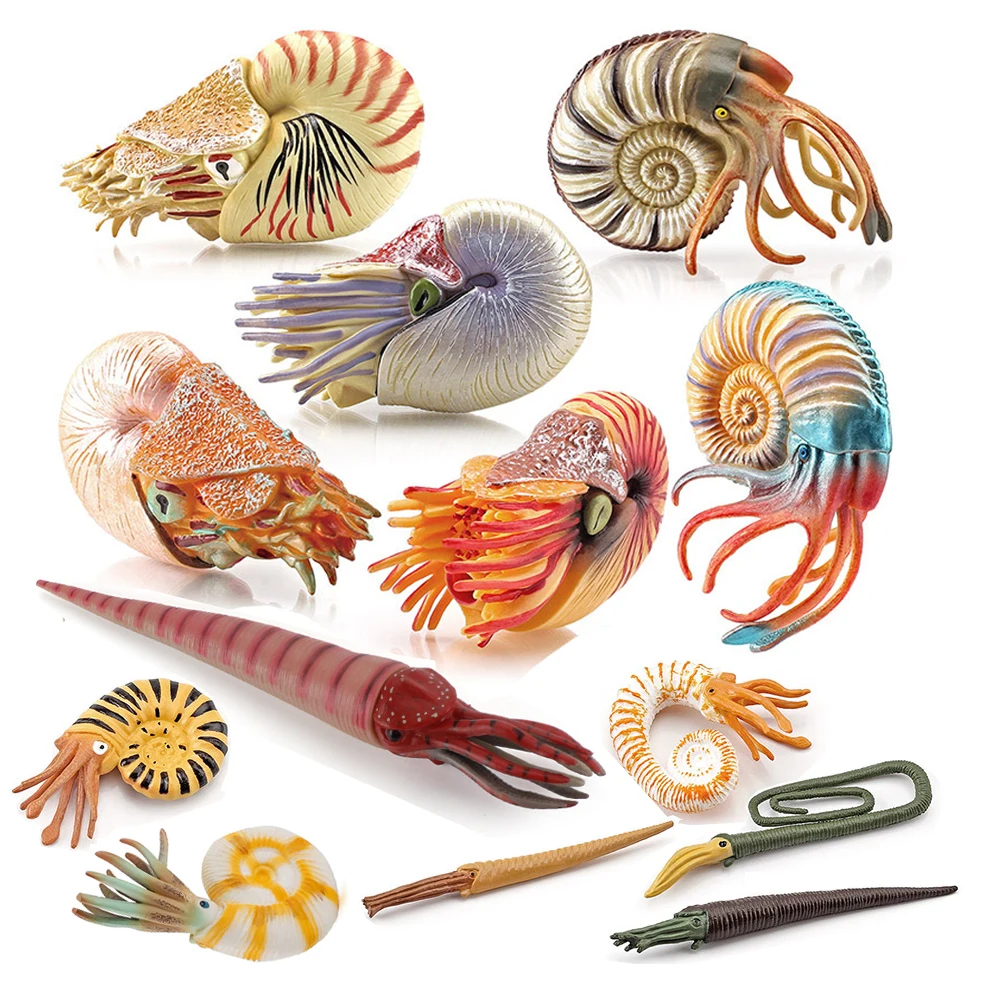 Kids Toys Review - Marine toy animals Nautilus Figure Cameroceras