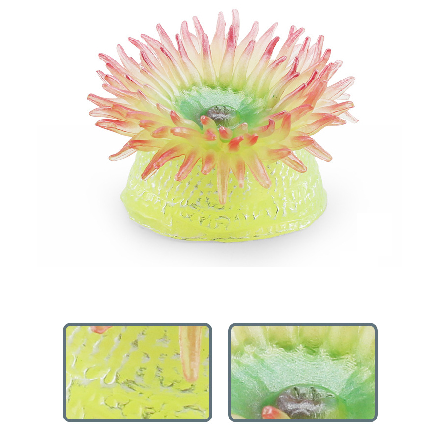 Realistic Coral Sea Anemones S – Kids Toys Under 1 Year recenzja i cena