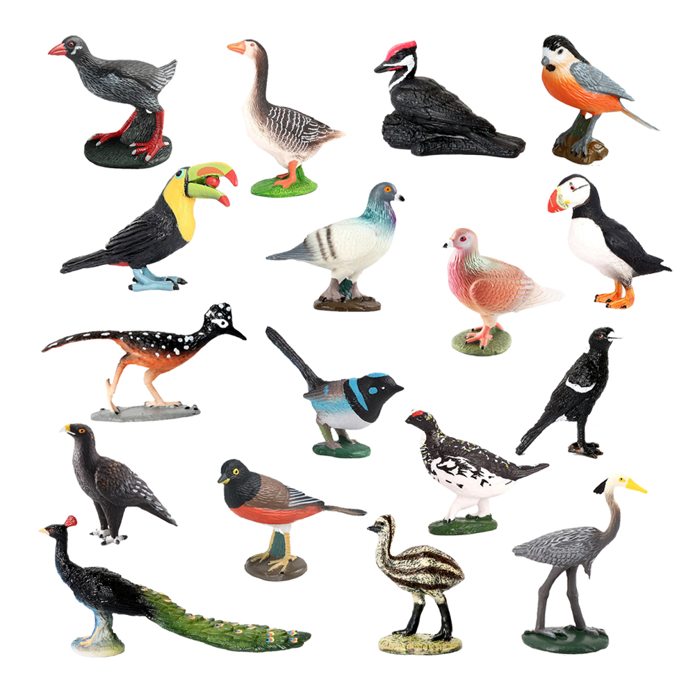 Owl Flamingo Turkey Toucan Sea – Kids Toys Review recenzja i cena