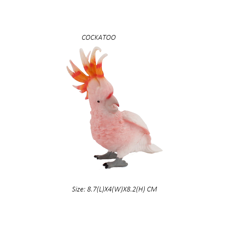 Owl Flamingo Turkey Toucan Sea – Kids Toys Review recenzja i cena