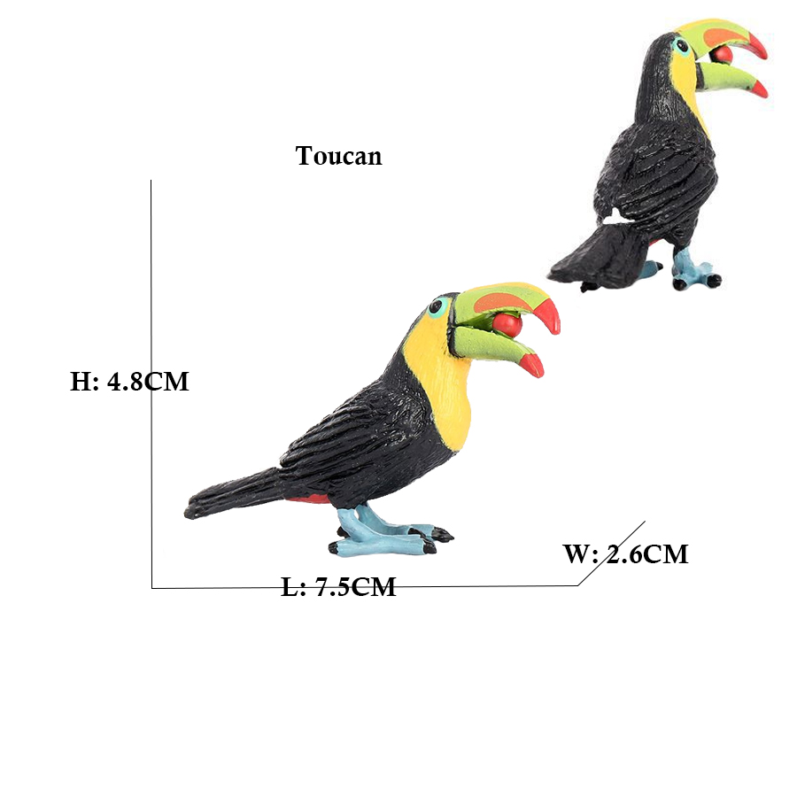 Owl Flamingo Turkey Toucan Sea – Kids Toys Review recenzja i cena