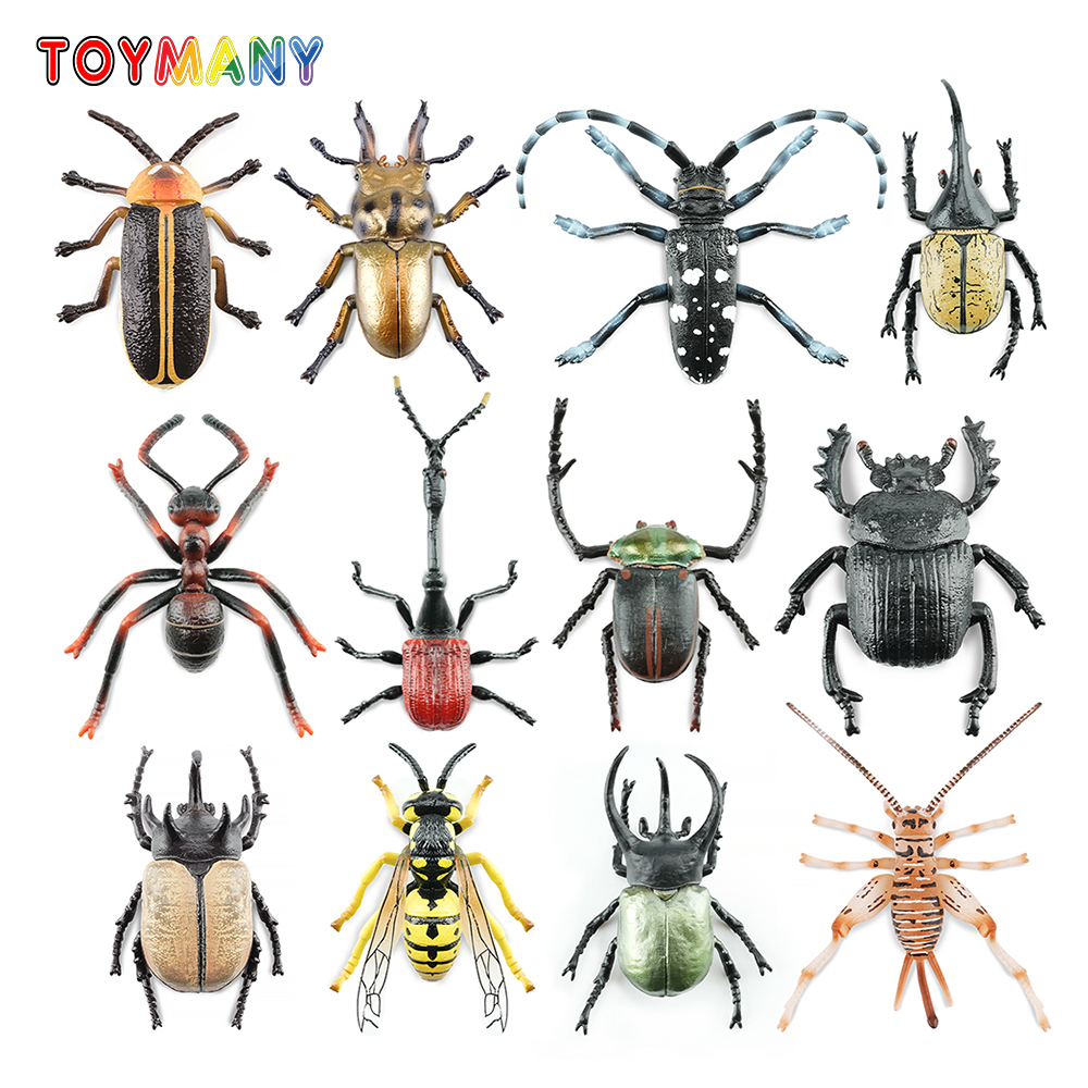 Toymany Simulation Insect & Be – Kids Toys Latest recenzja i cena