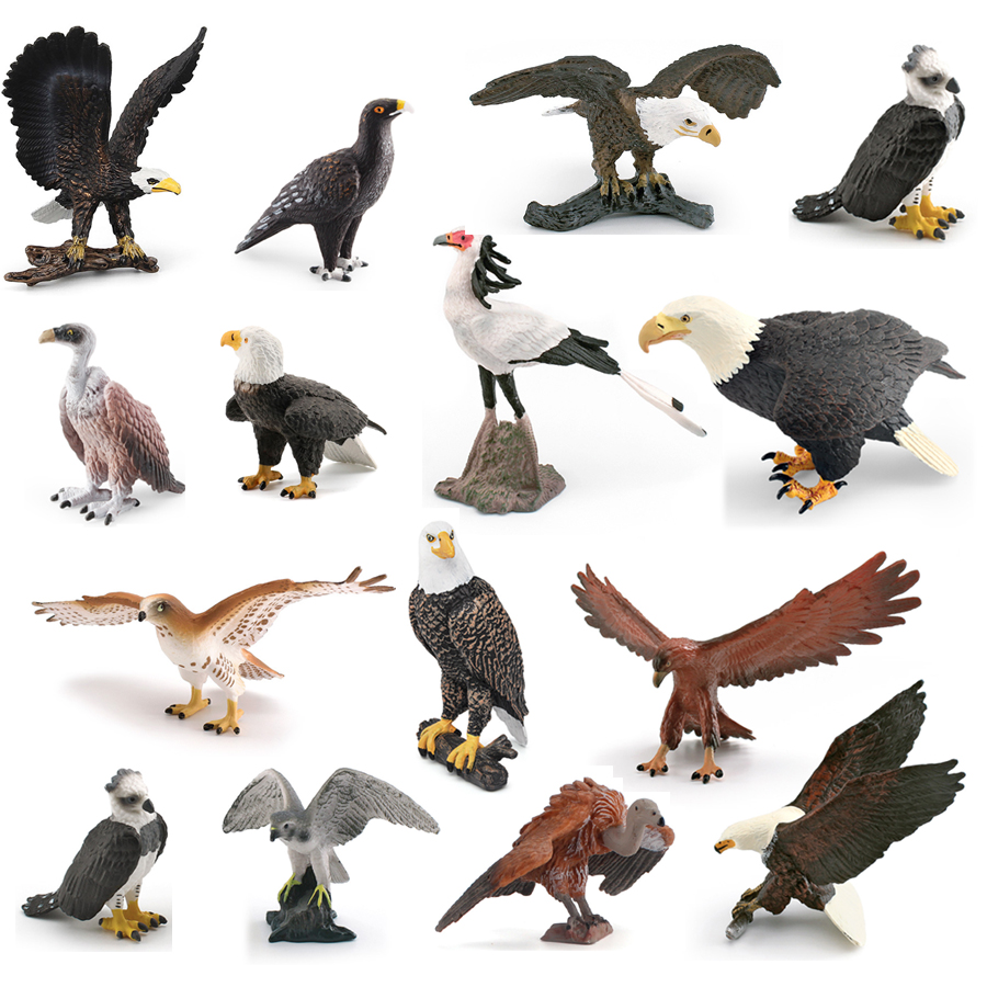 Realistic Wildlife Animal Bird – Kids Toys Under 1 Year recenzja i cena