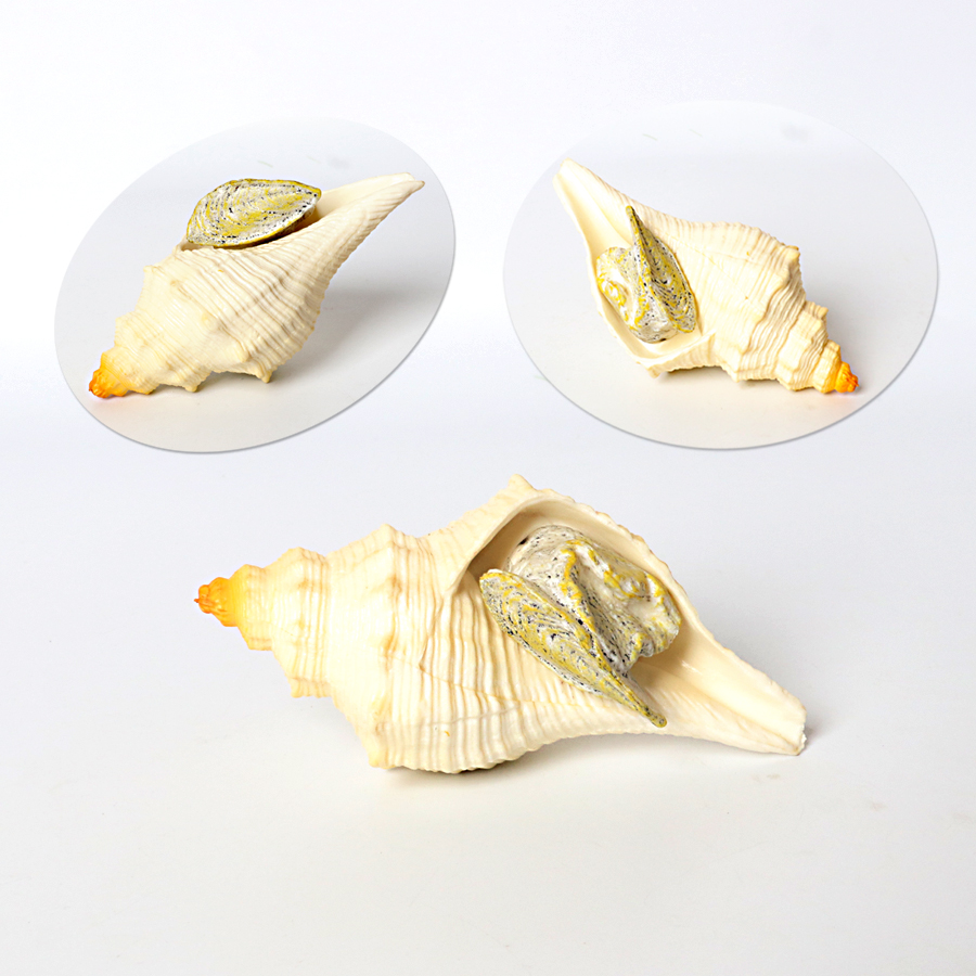 Plastic Prehistoric Sea Creatu – Kids Toys Under 1 Year recenzja i cena