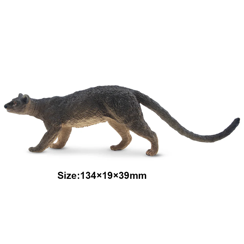 Toymany Simulation Fossa Madag – Kids Toys Latest recenzja i cena
