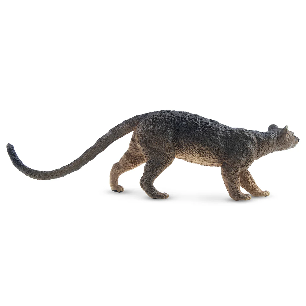 Toymany Simulation Fossa Madag – Kids Toys Latest recenzja i cena