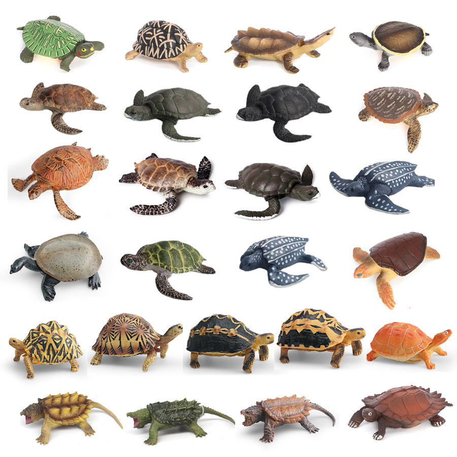 Simulation Chinese Softshell L – Kids Toys Under 1 Year recenzja i cena