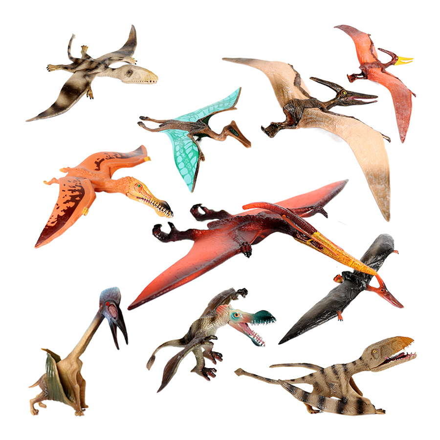 Archaeopteryx Carnosaurus Spin – Kids Toys Review recenzja i cena