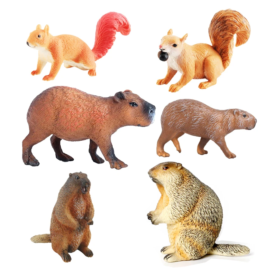 Capibara Capybaras Squirrel Ma – Kids Toys Review recenzja i cena