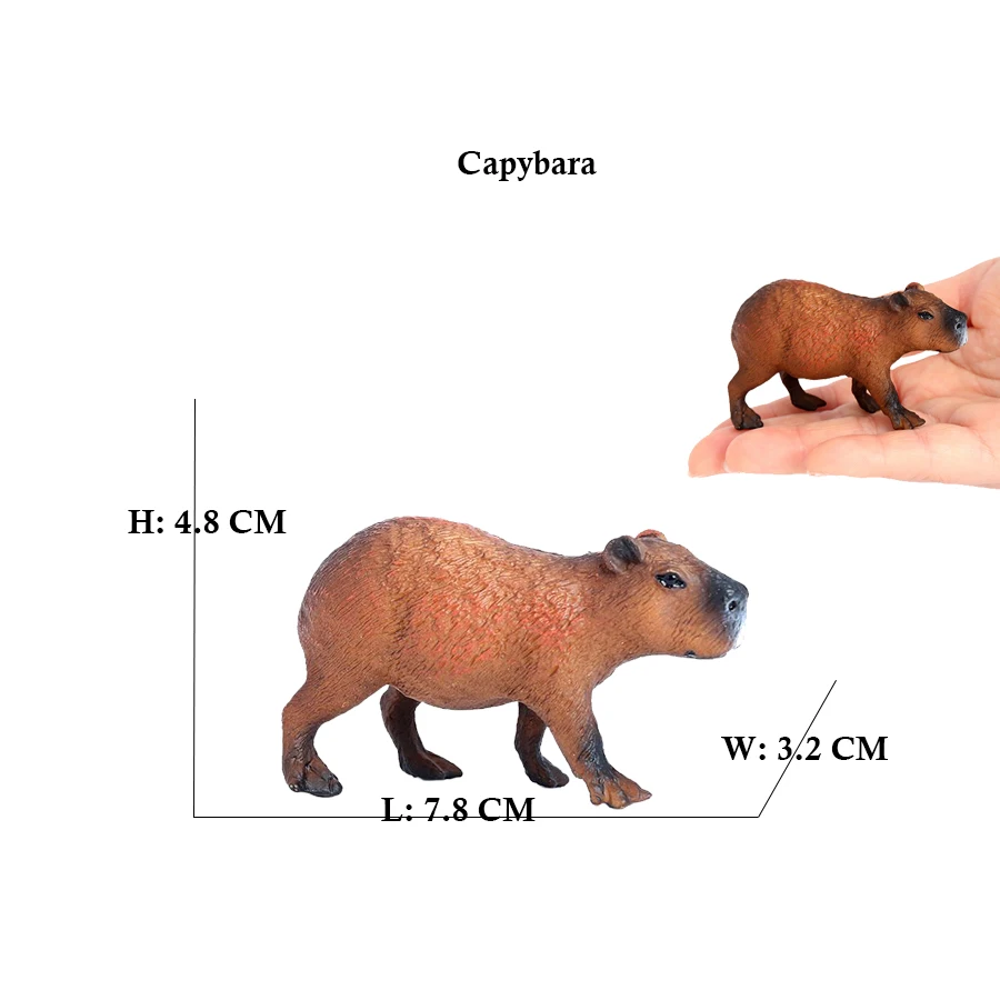 Capibara Capybaras Squirrel Ma – Kids Toys Review recenzja i cena