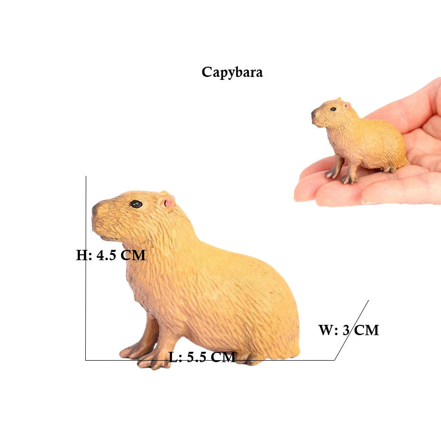 Capibara Capybaras Squirrel Ma – Kids Toys Review recenzja i cena