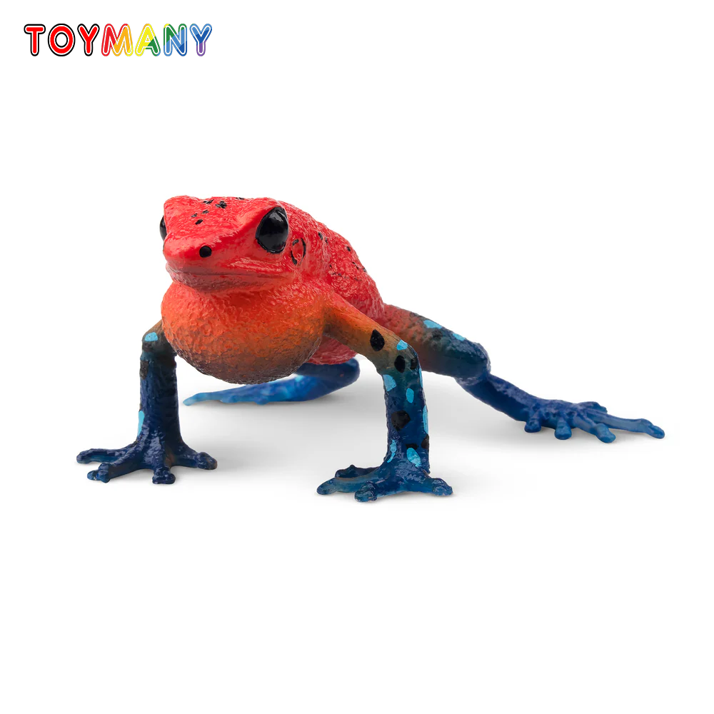Toymany Simulation Strawberry  – Kids Toys Latest recenzja i cena