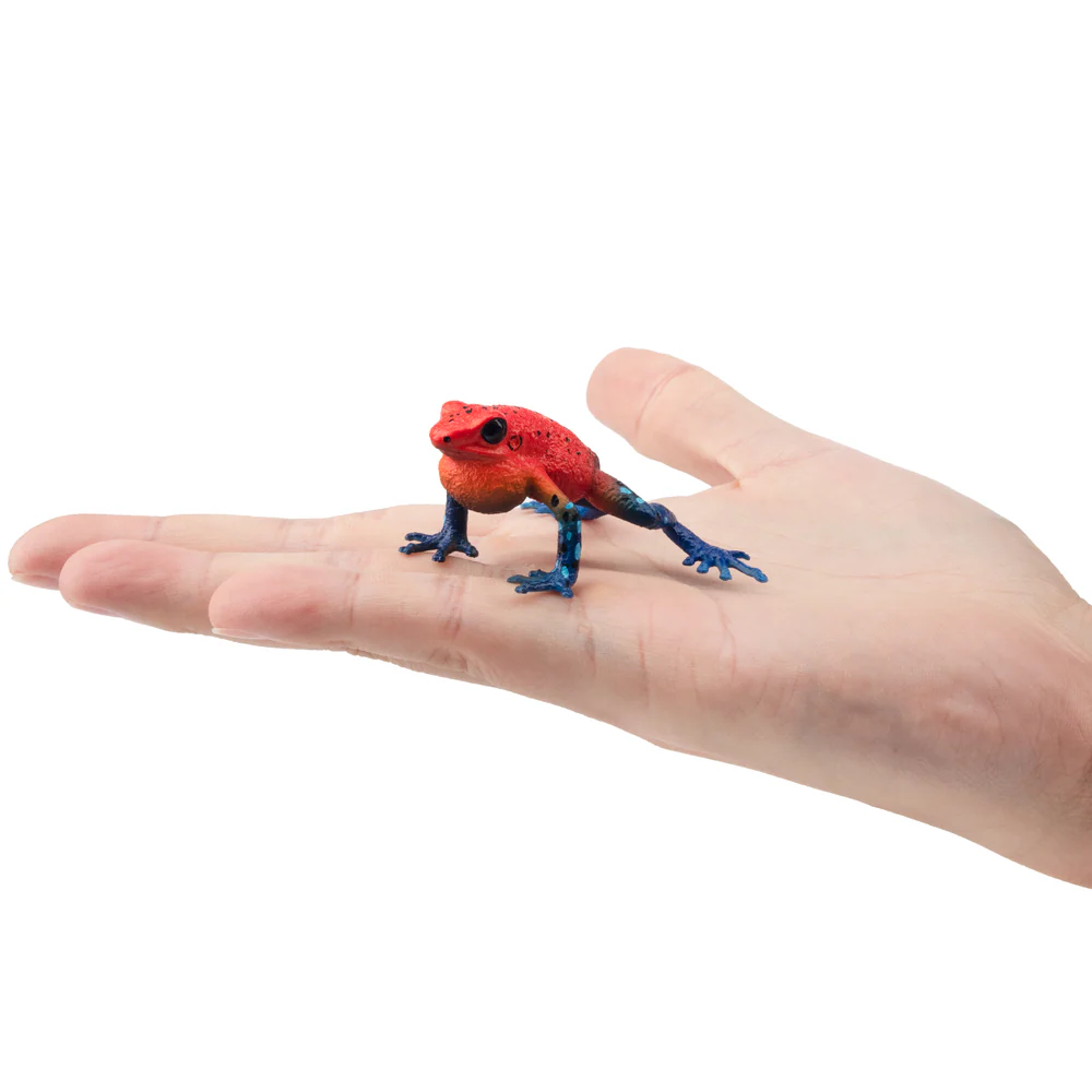 Toymany Simulation Strawberry  – Kids Toys Latest recenzja i cena
