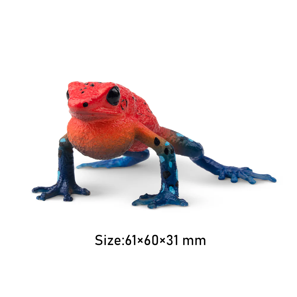 Toymany Simulation Strawberry  – Kids Toys Latest recenzja i cena