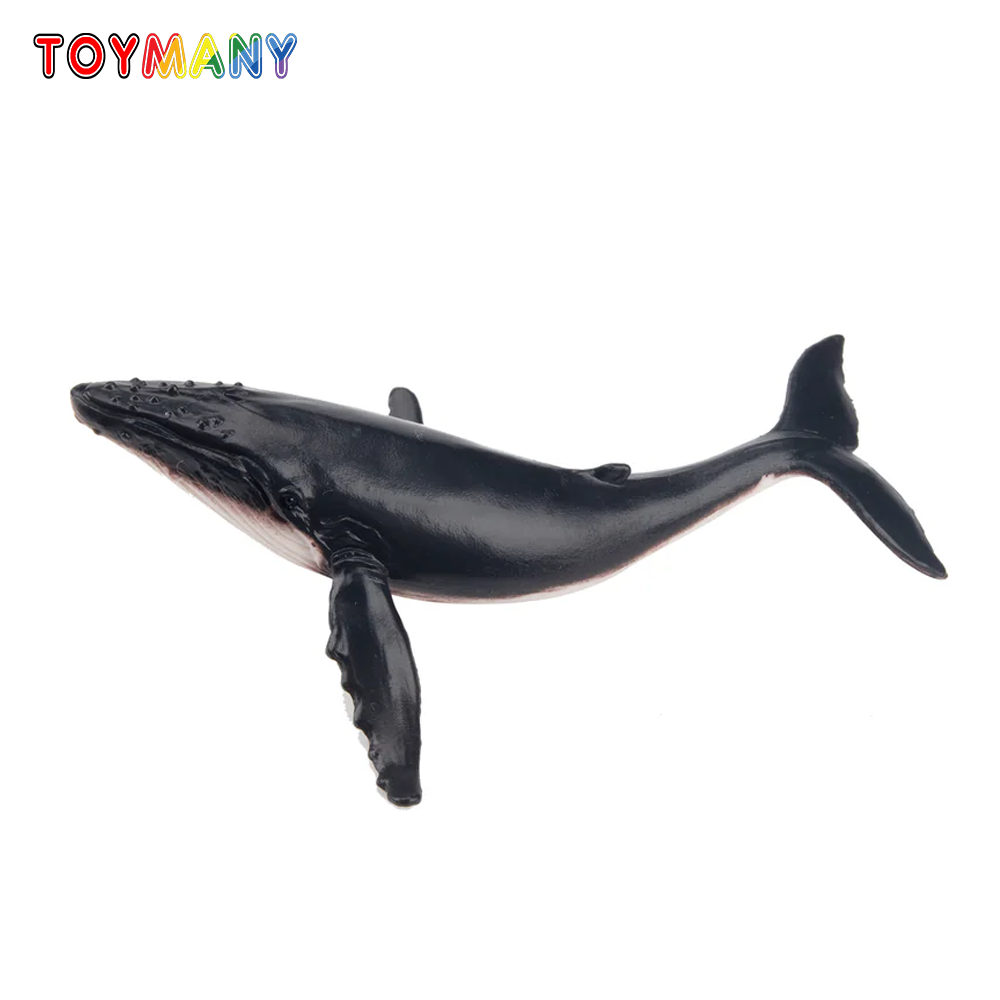 Toymany Simulation Humpback Wh – Kids Toys Variety recenzja i cena