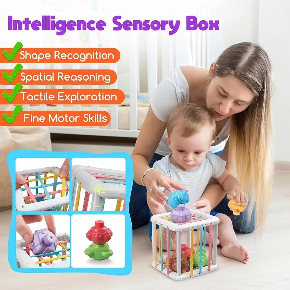 Rainbow Colorful Montessori Sh – Kids Toys Variety recenzja i cena