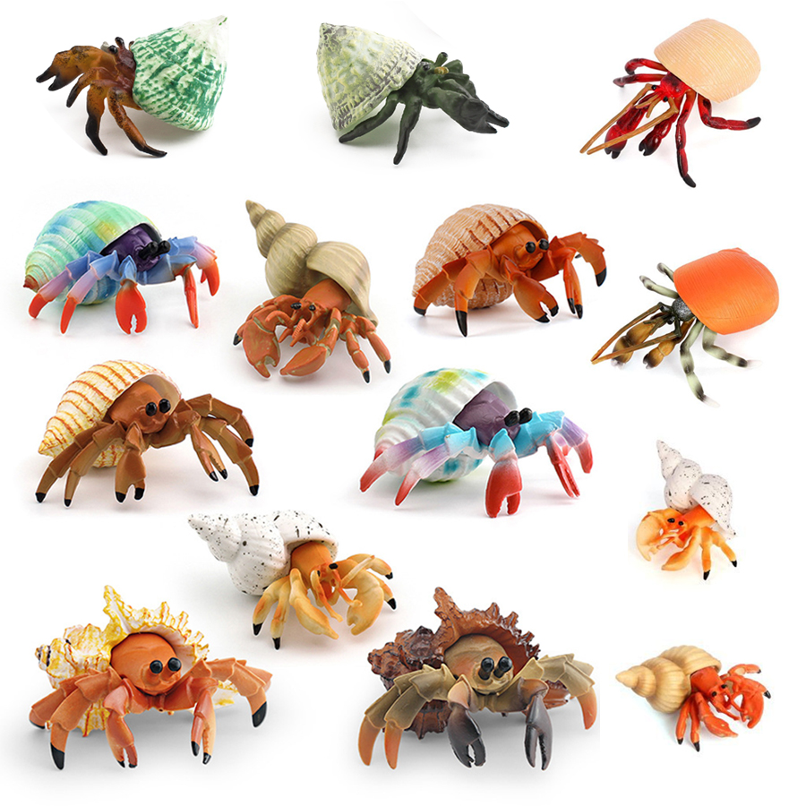 Realistic Hermit Crab Figurine – Kids Toys Under 1 Year recenzja i cena