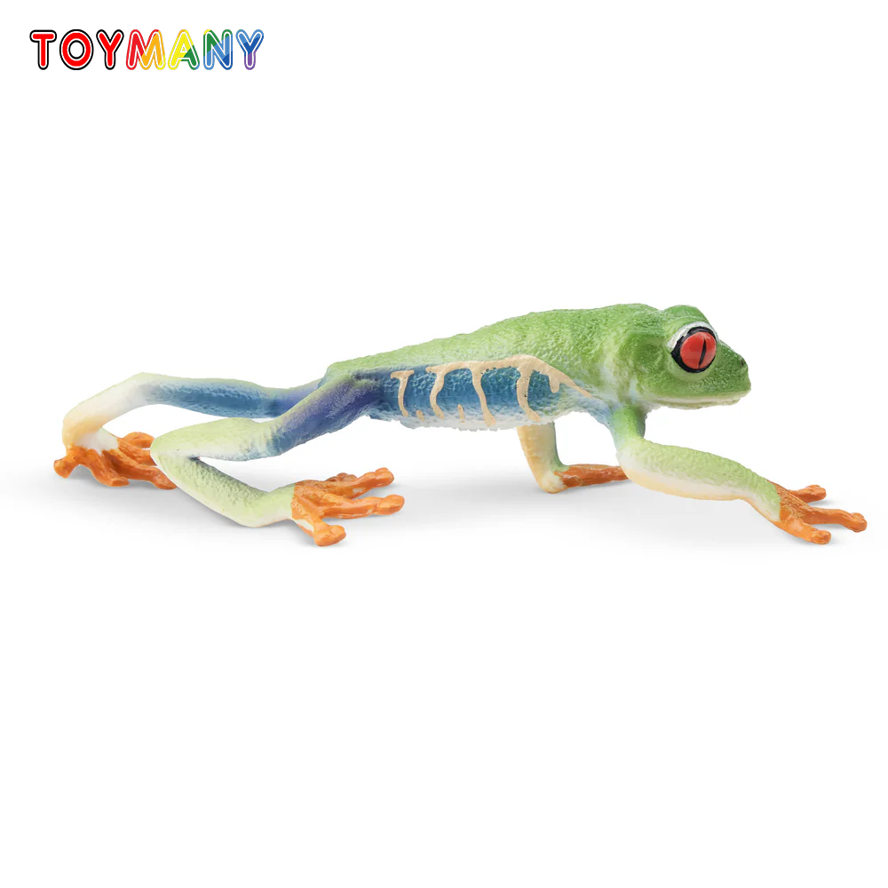 Toymany Simulation Red-eyed Tr – Kids Toys Latest recenzja i cena