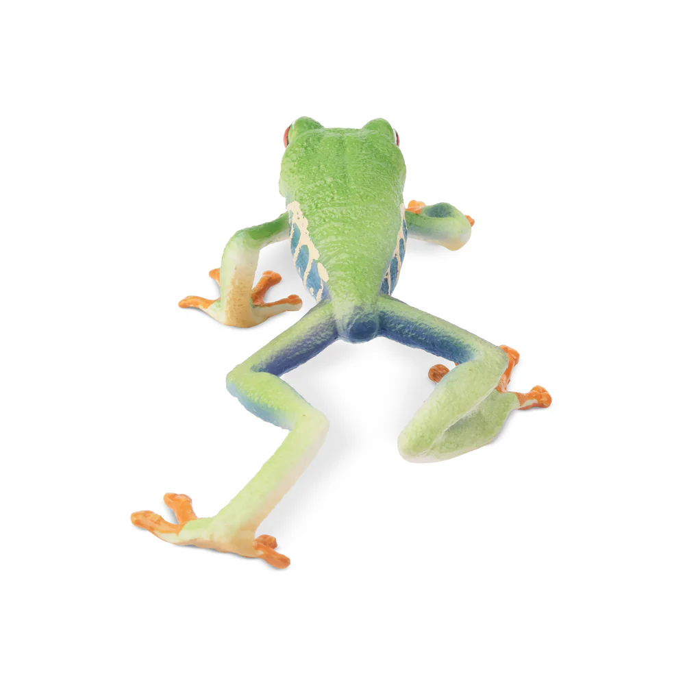 Toymany Simulation Red-eyed Tr – Kids Toys Latest recenzja i cena