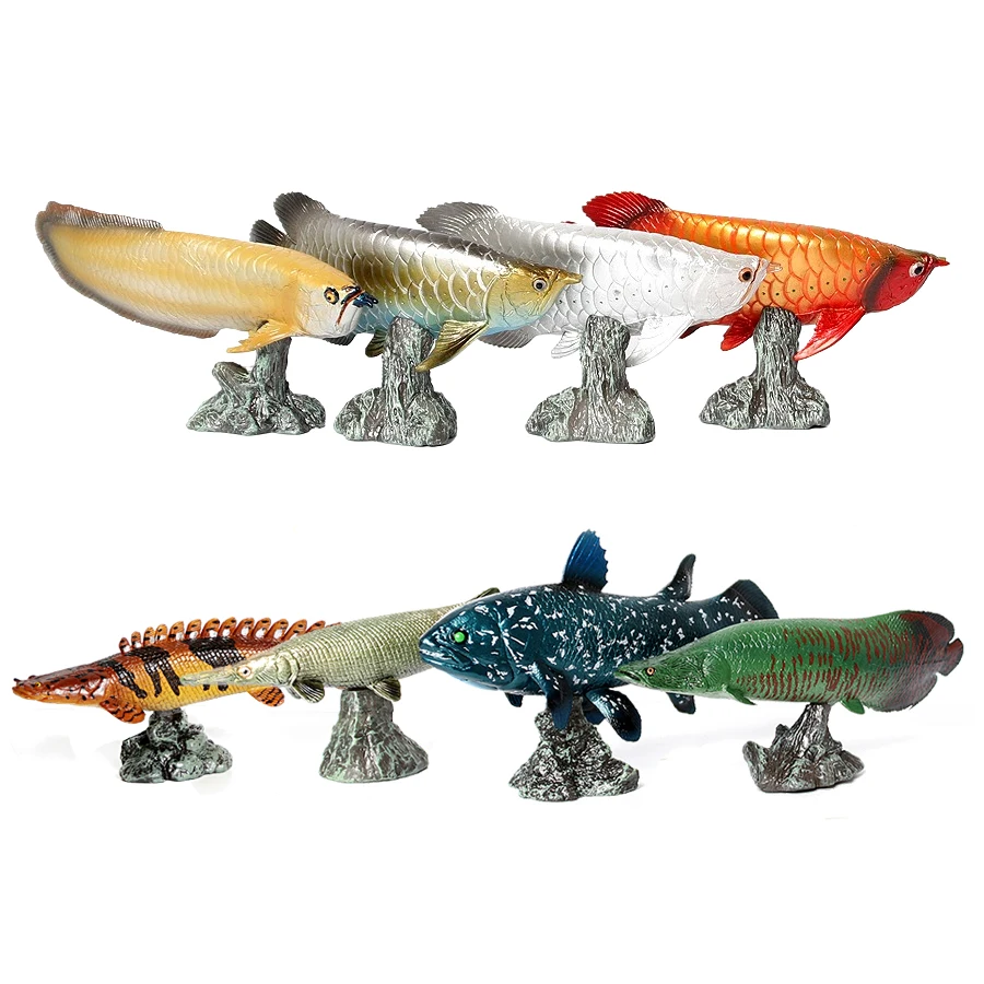 Arowana Pirarucu Coelacanth Bi – Kids Toys Review recenzja i cena