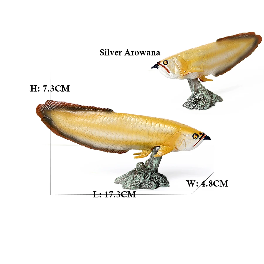Arowana Pirarucu Coelacanth Bi – Kids Toys Review recenzja i cena