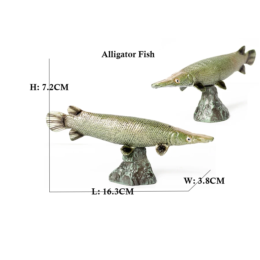 Arowana Pirarucu Coelacanth Bi – Kids Toys Review recenzja i cena