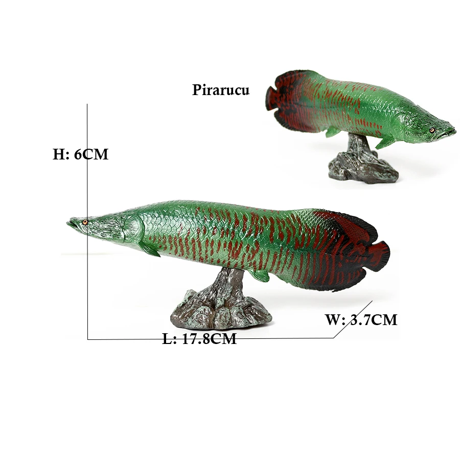 Arowana Pirarucu Coelacanth Bi – Kids Toys Review recenzja i cena