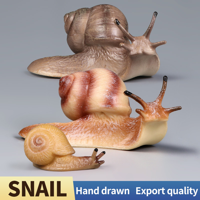 Educational Snail Action Figur – Kids Toys Packaging recenzja i cena