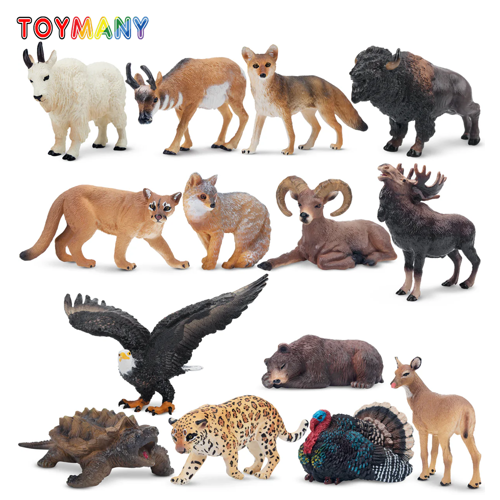 Toymany Simulation Mini North  – Kids Toys Latest recenzja i cena