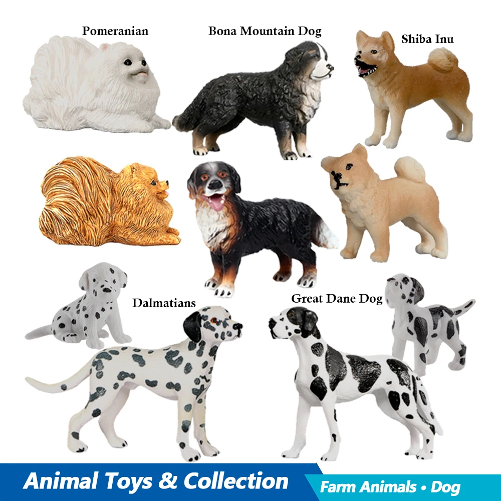 Labrador Poodle Rottweiler Bon – Kids Toys Review recenzja i cena