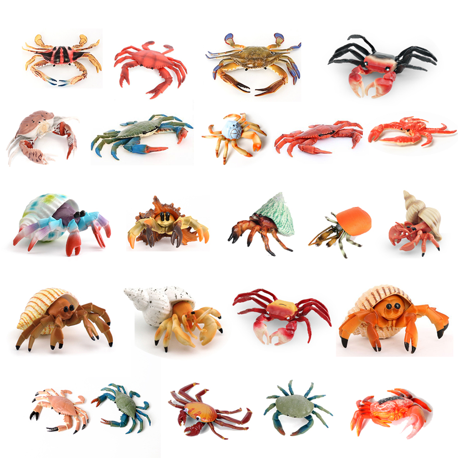 Realistic Ocean Animals Hermit – Kids Toys Under 1 Year recenzja i cena