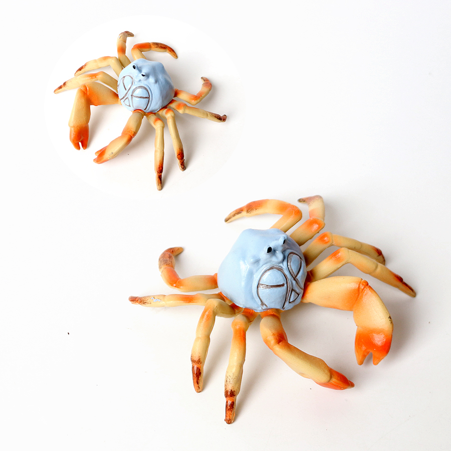 Realistic Ocean Animals Hermit – Kids Toys Under 1 Year recenzja i cena