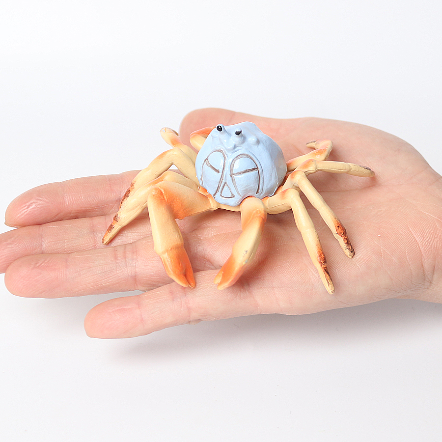 Realistic Ocean Animals Hermit – Kids Toys Under 1 Year recenzja i cena