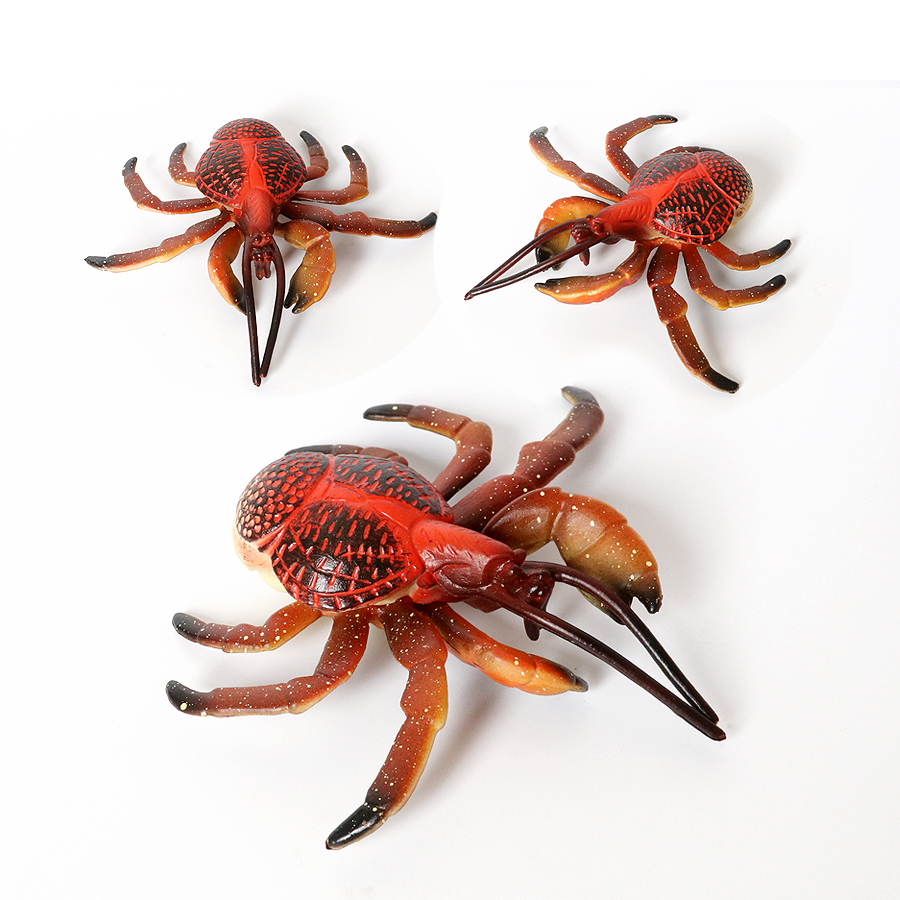 Realistic Ocean Animals Hermit – Kids Toys Under 1 Year recenzja i cena