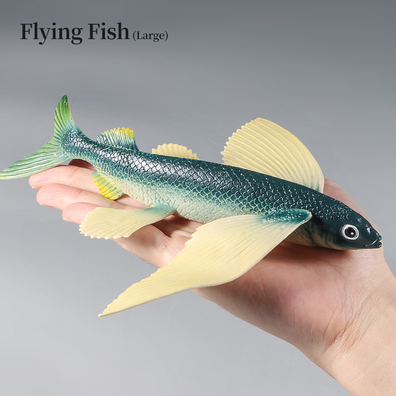 Ocean Marine Animal Underwater – Kids Toys Packaging recenzja i cena