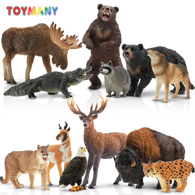 12Pcs Simulation Forest Wildli – Kids Toys Latest recenzja i cena