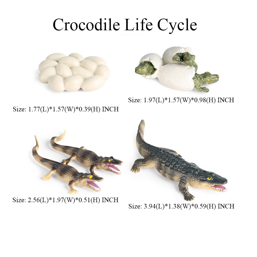 Toy of crocodile Figure Toys A – Kids Toys Review recenzja i cena