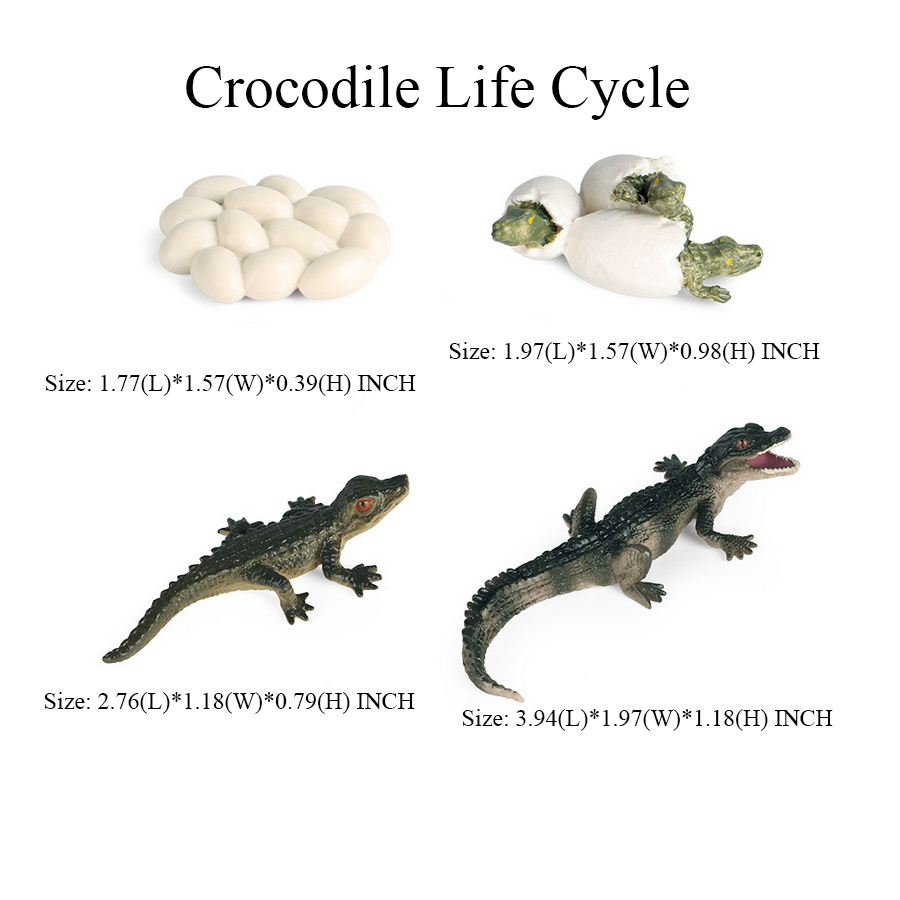 Toy of crocodile Figure Toys A – Kids Toys Review recenzja i cena