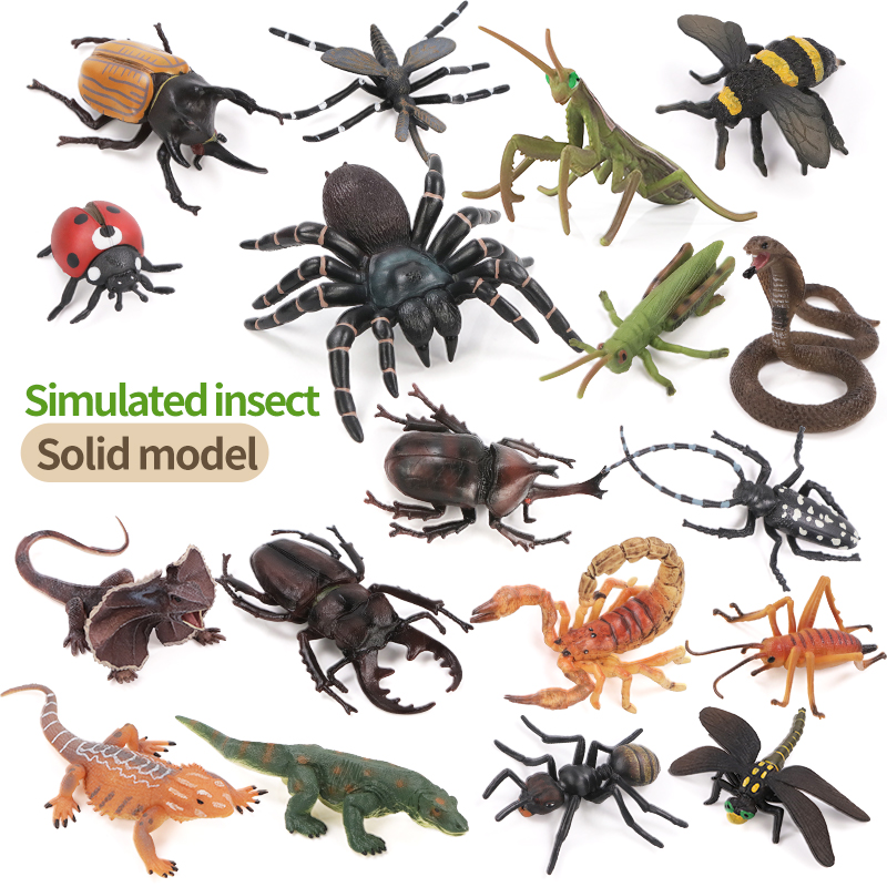 Educational Simulation Insect  – Kids Toys Packaging recenzja i cena