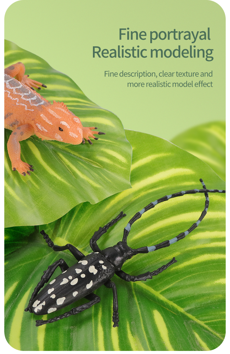 Educational Simulation Insect  – Kids Toys Packaging recenzja i cena