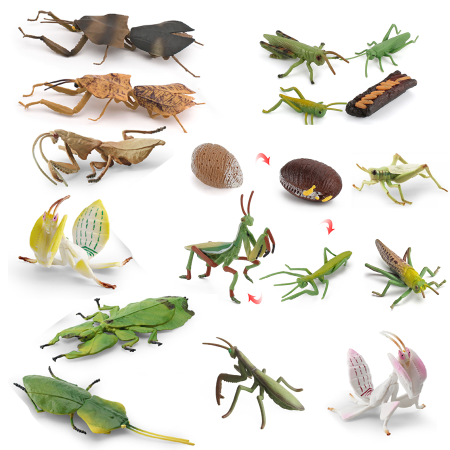 Realistic Orchid Mantis Dead L – Kids Toys Under 1 Year recenzja i cena