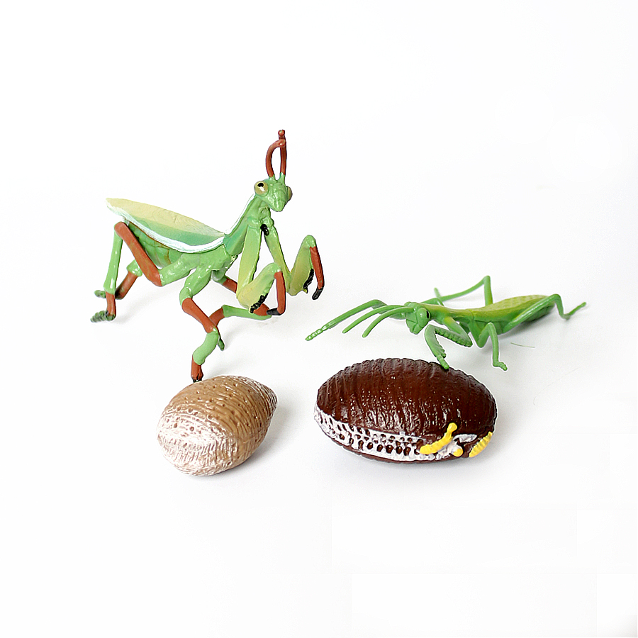 Realistic Orchid Mantis Dead L – Kids Toys Under 1 Year recenzja i cena